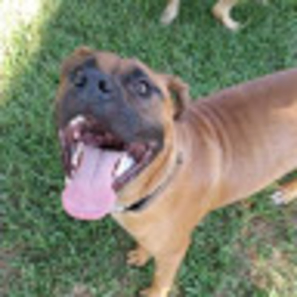 Meet your Posher, David - Picture 1 of 1